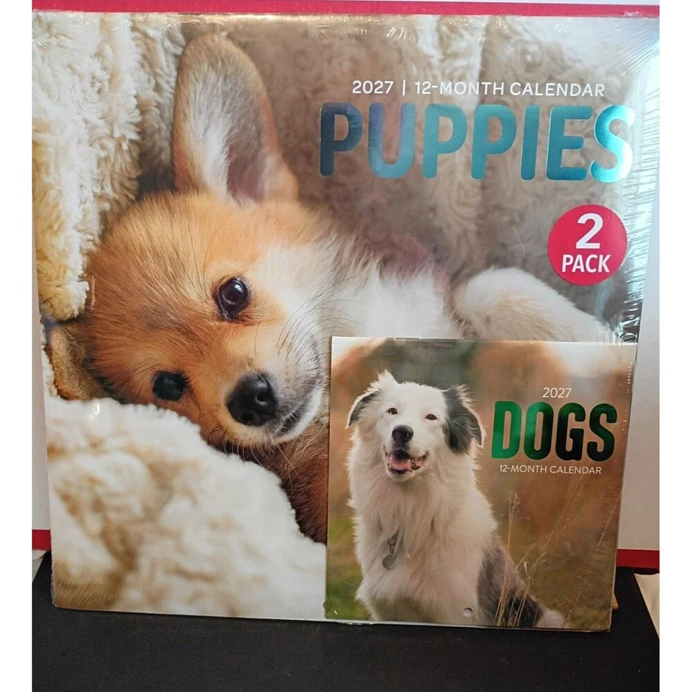 2027 New Wall Calendar Puppies 2 Pack 12